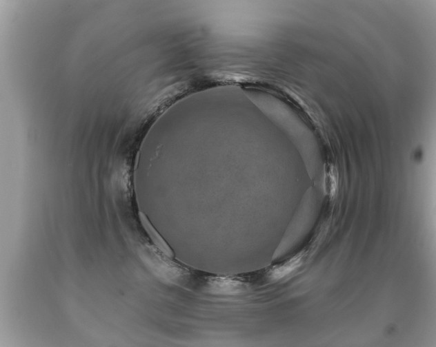 X0000091930380200709051506