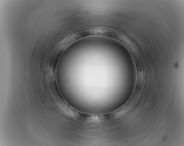 X0000091930381200709051506