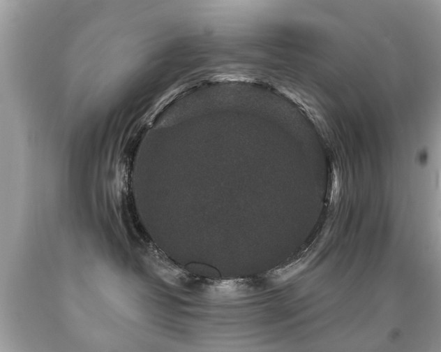 X0000091930382200709051506