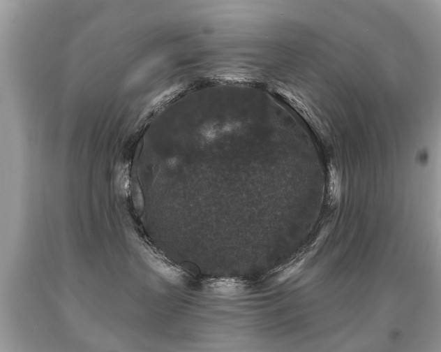 X0000091930383200709051506