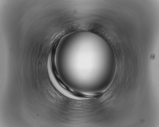 X0000091930384200709051506