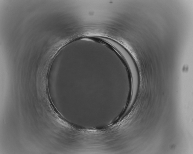 X0000091930385200709051506