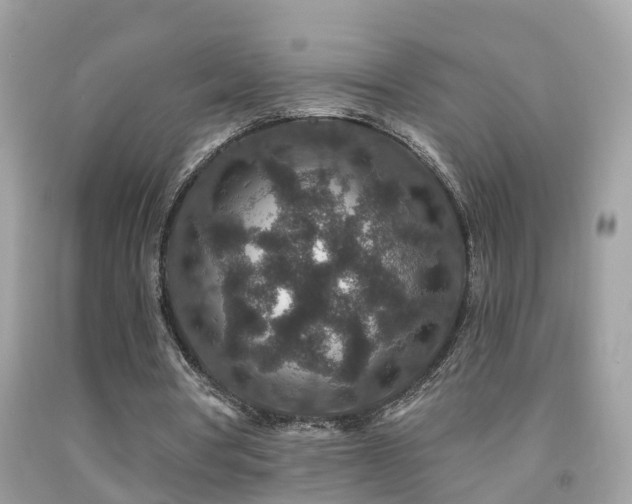 X0000091930386200709051506
