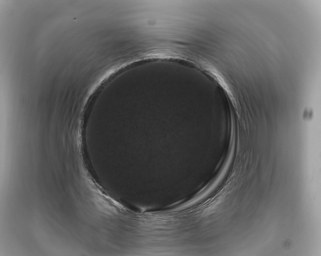 X0000091930387200709051506