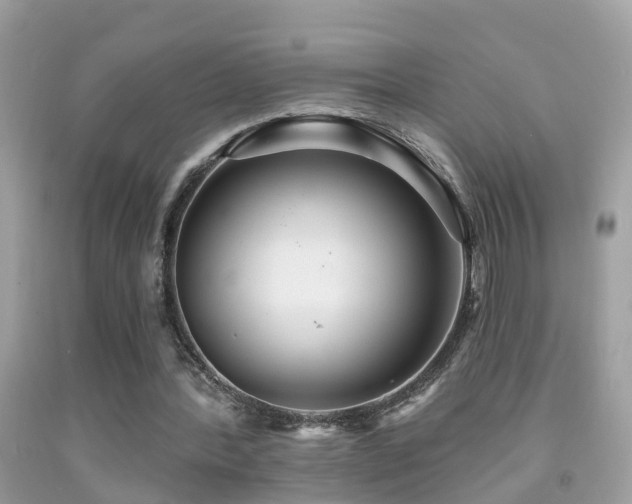 X0000091930388200709051506