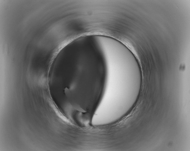 X0000091930389200709051506