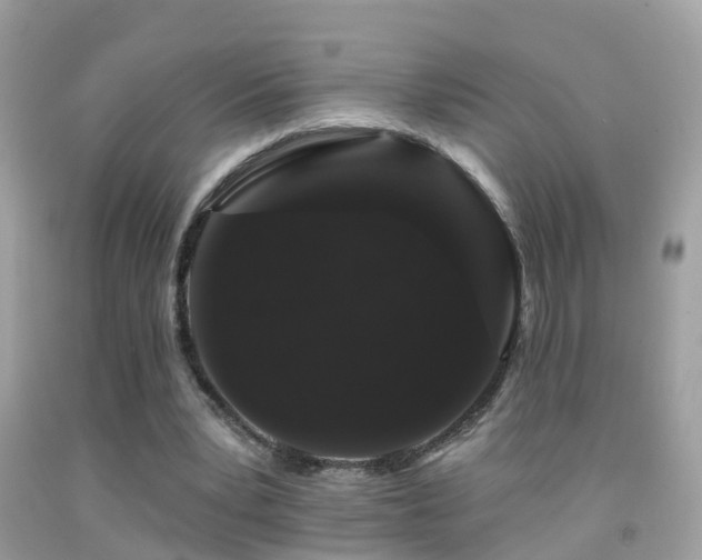 X0000091930391200709051506
