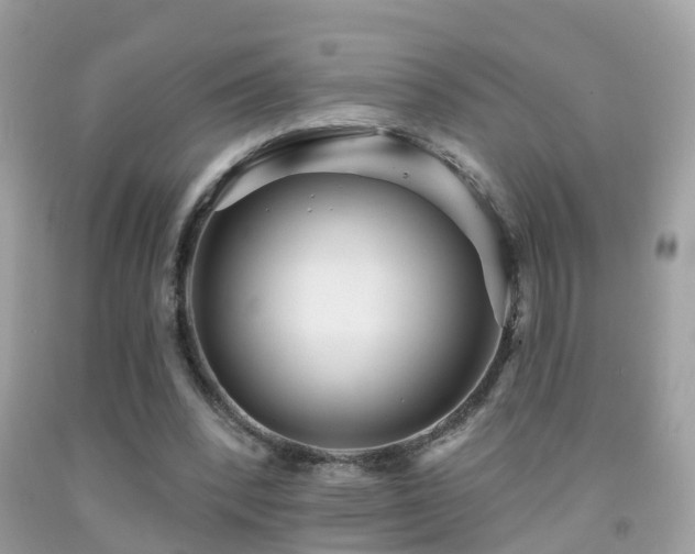 X0000091930392200709051506