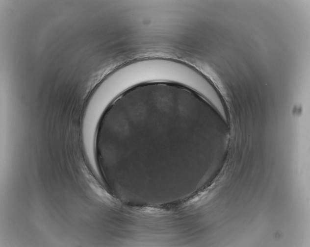 X0000091930393200709051506