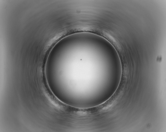 X0000091930394200709051506
