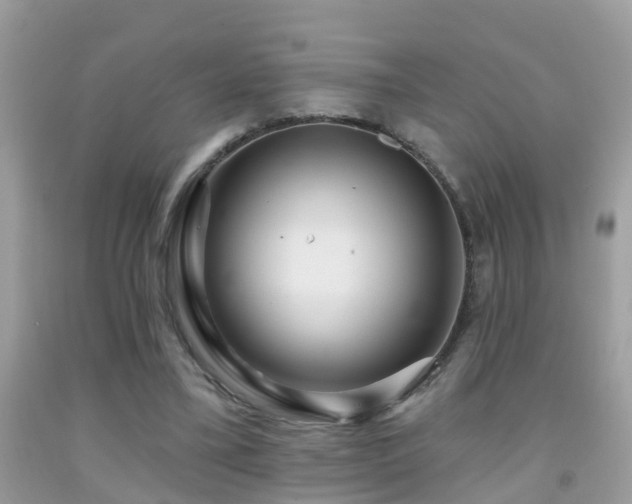 X0000091930395200709051506