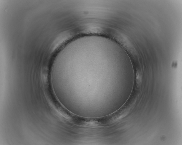 X0000091930396200709051506