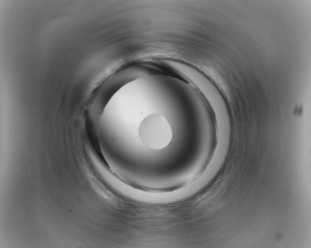 X0000091930397200709051506