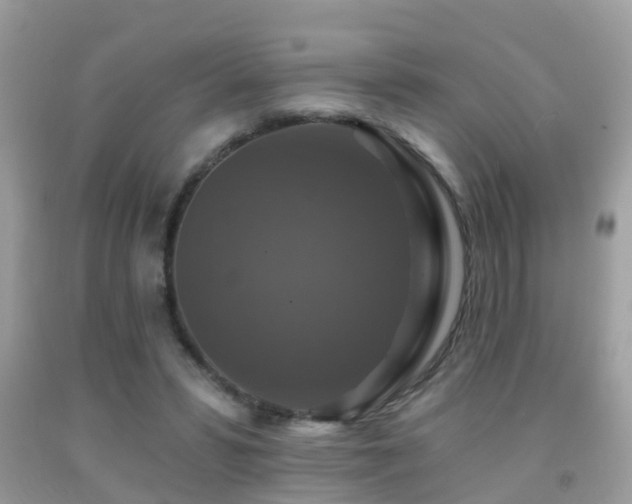 X0000091930399200709051506