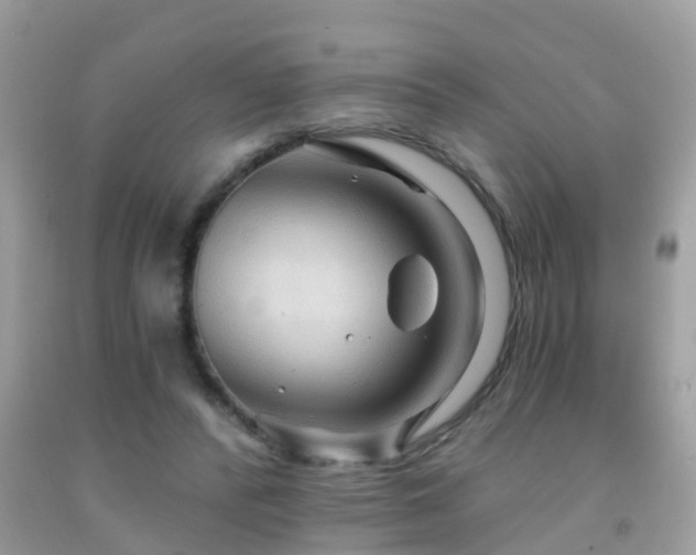X0000091930400200709051506