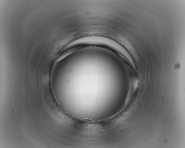 X0000091930401200709051506