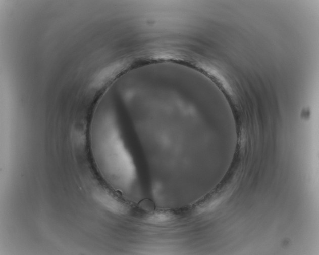 X0000091930402200709051506
