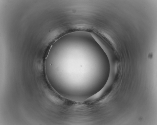X0000091930403200709051505