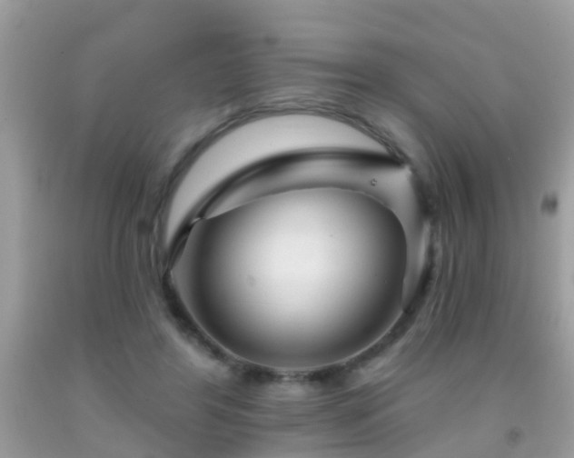 X0000091930404200709051505
