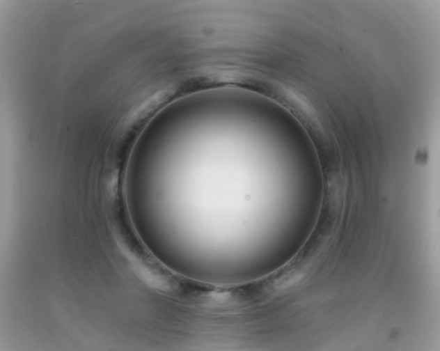 X0000091930406200709051505