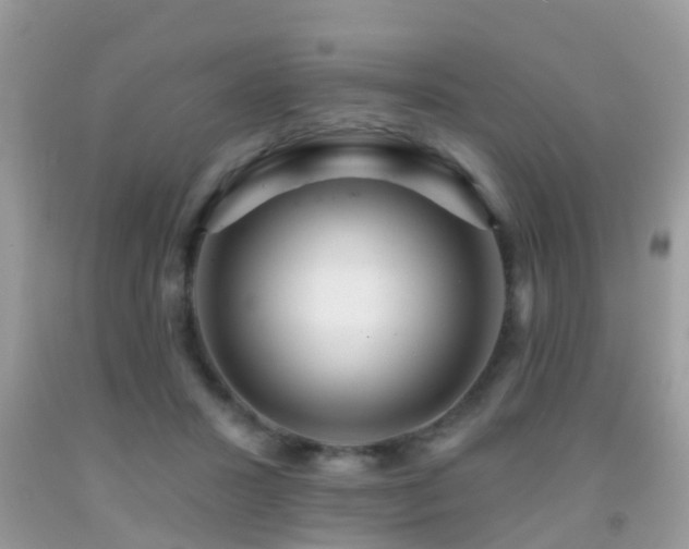 X0000091930407200709051505