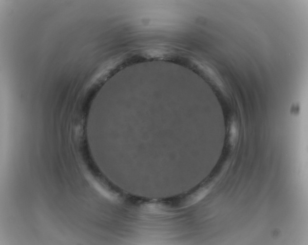 X0000091930408200709051505
