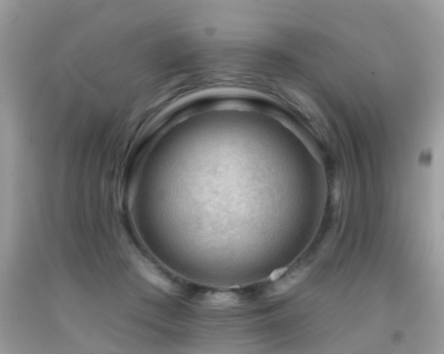 X0000091930409200709051505