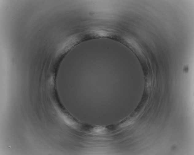 X0000091930410200709051505