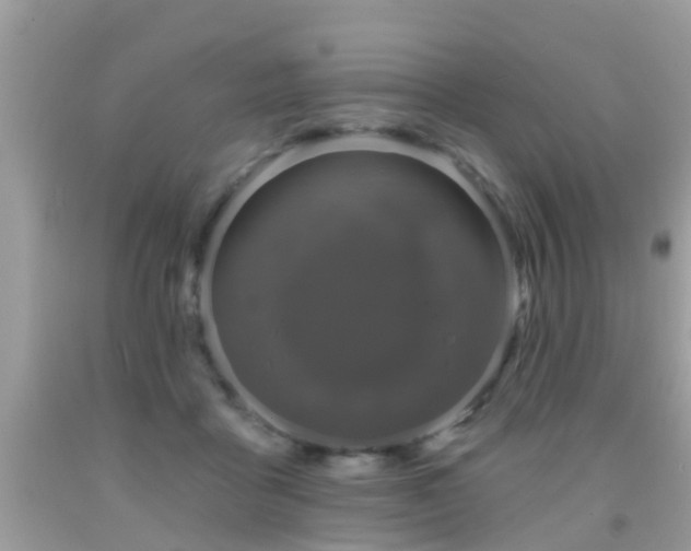 X0000091930411200709051505