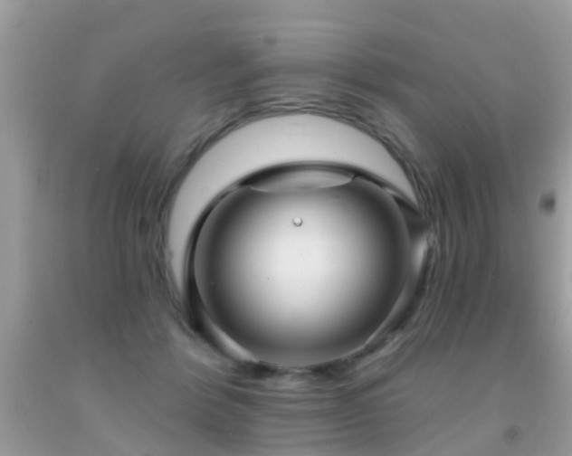 X0000091930412200709051505