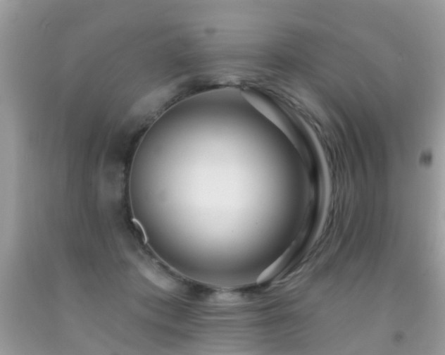 X0000091930413200709051505