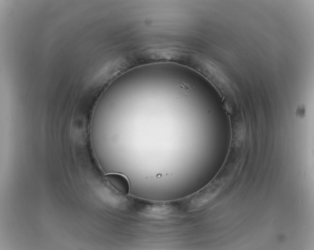 X0000091930414200709051505