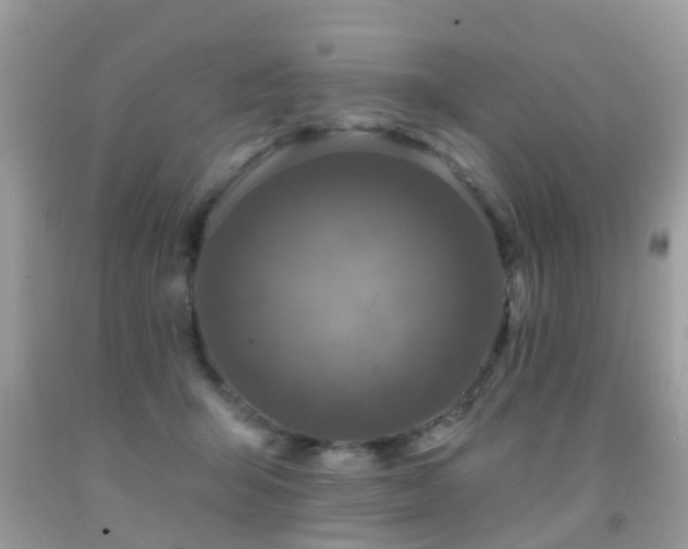 X0000091930415200709051505