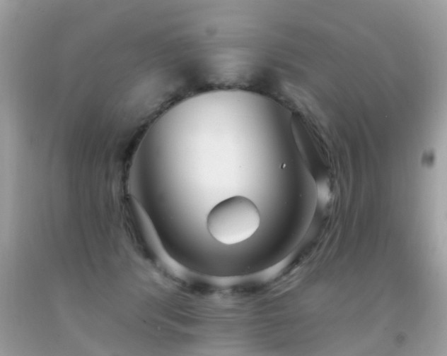 X0000091930416200709051505