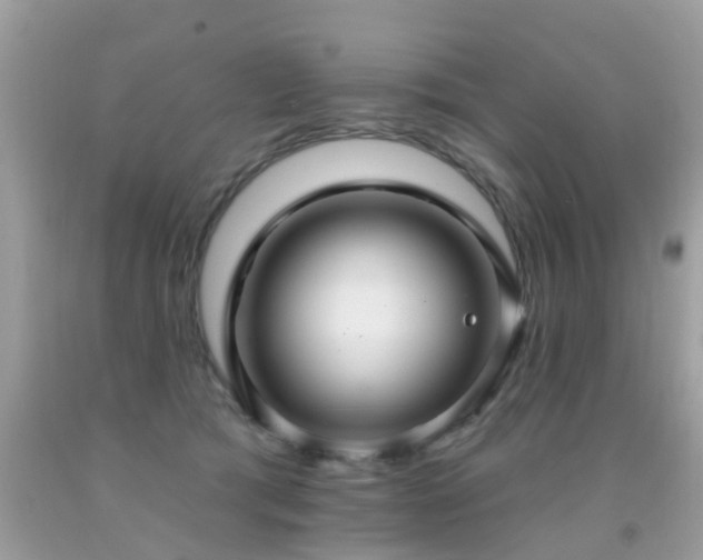 X0000091930417200709051505
