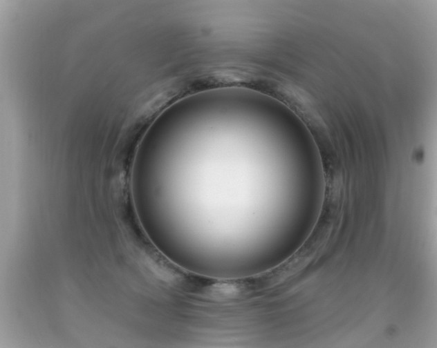 X0000091930418200709051505