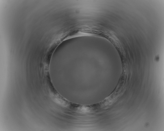 X0000091930419200709051505