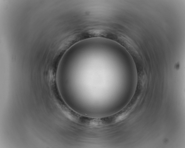 X0000091930420200709051505