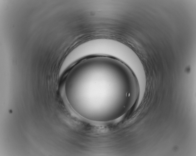 X0000091930421200709051505