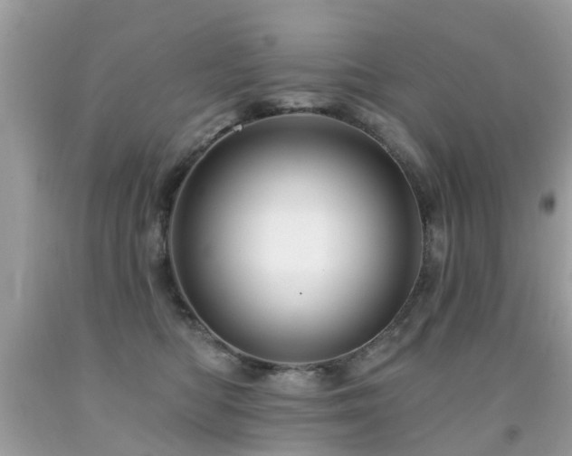 X0000091930422200709051505