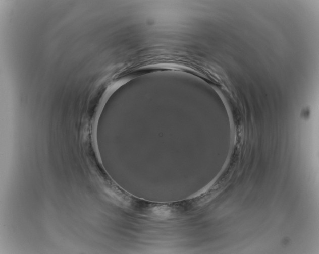 X0000091930423200709051505