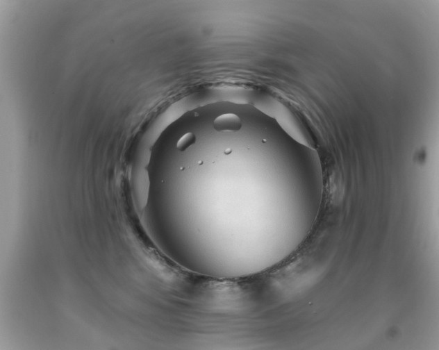X0000091930424200709051505
