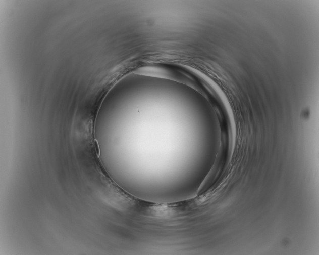 X0000091930425200709051505