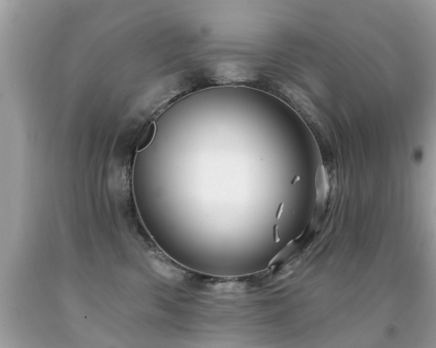 X0000091930426200709051505