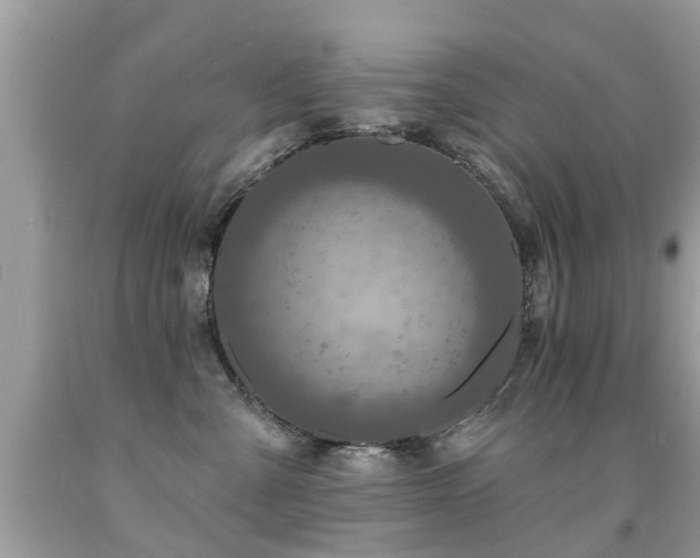 X0000091930427200709051505