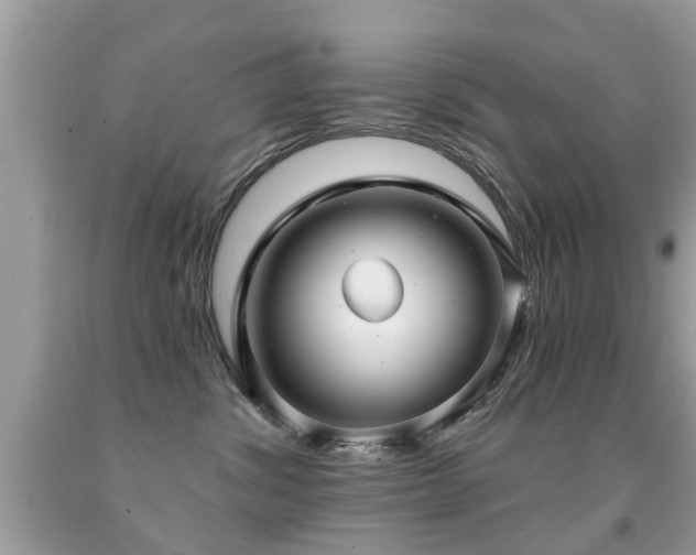 X0000091930428200709051505