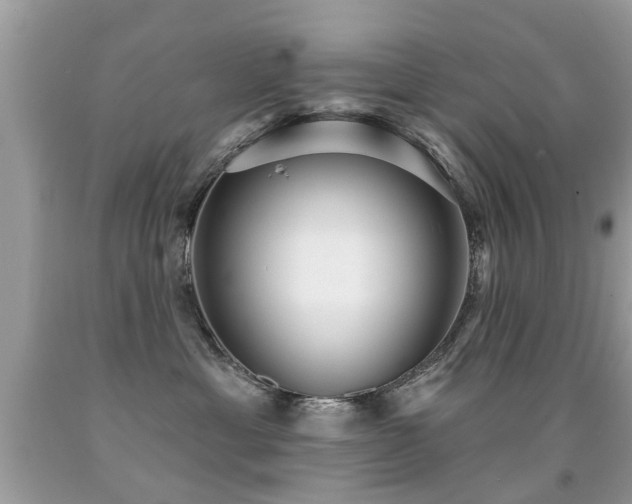 X0000091930429200709051505