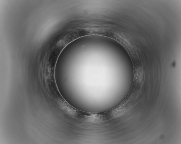 X0000091930430200709051505
