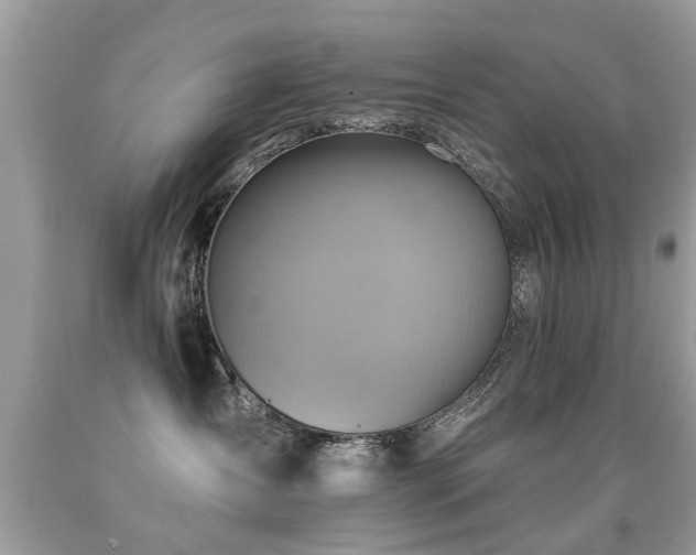 X0000091930431200709051505