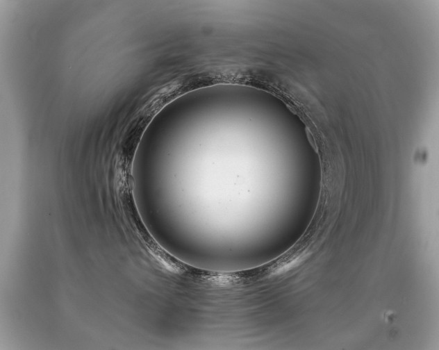 X0000091930432200709051505